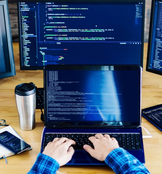 Software Development Image